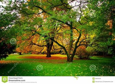 手游公司加盟代理 开启互联网游戏服务新机遇